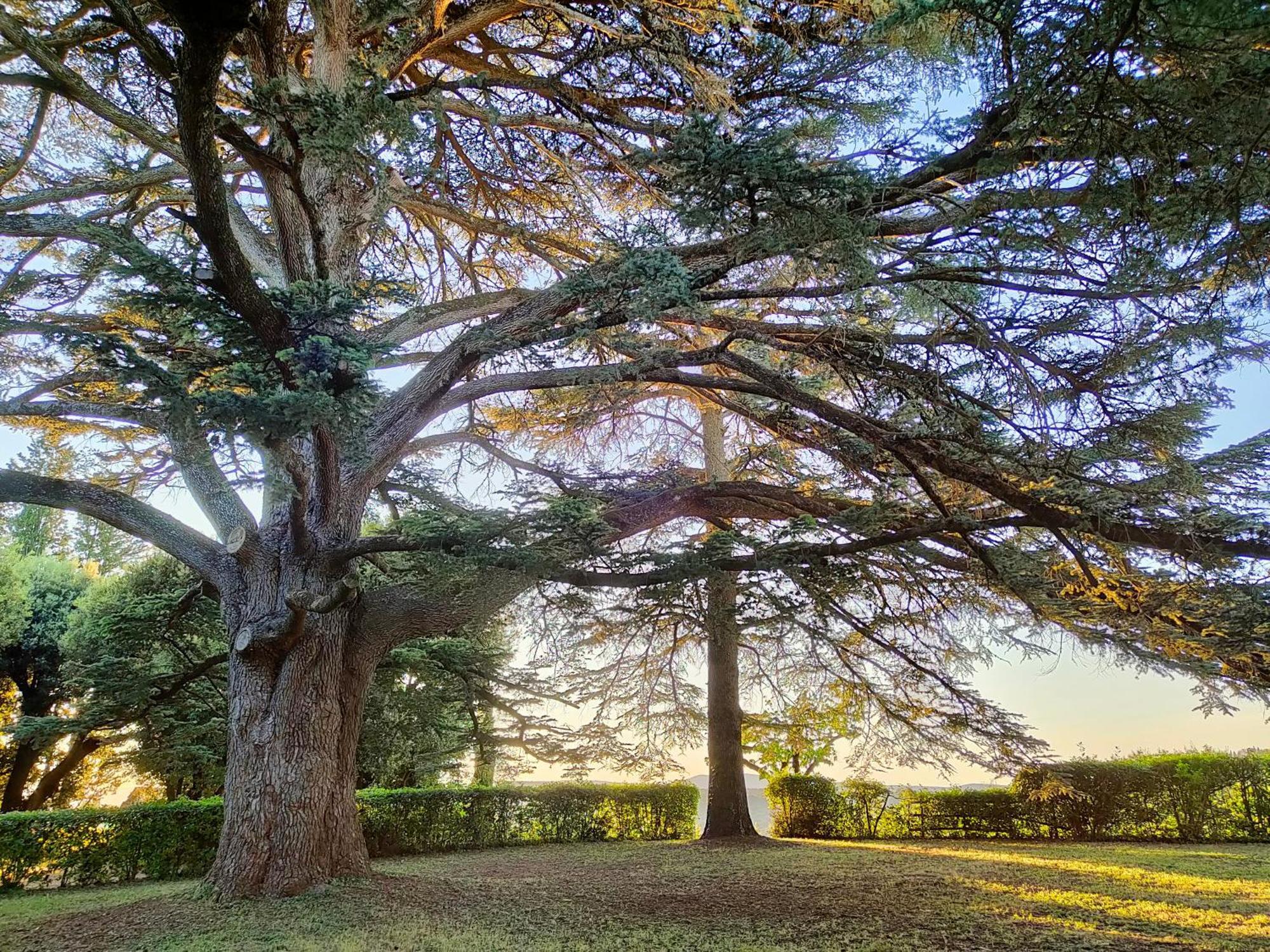 Borgo Villa Certano - Case Vacanza In Toscana Siena Exteriér fotografie