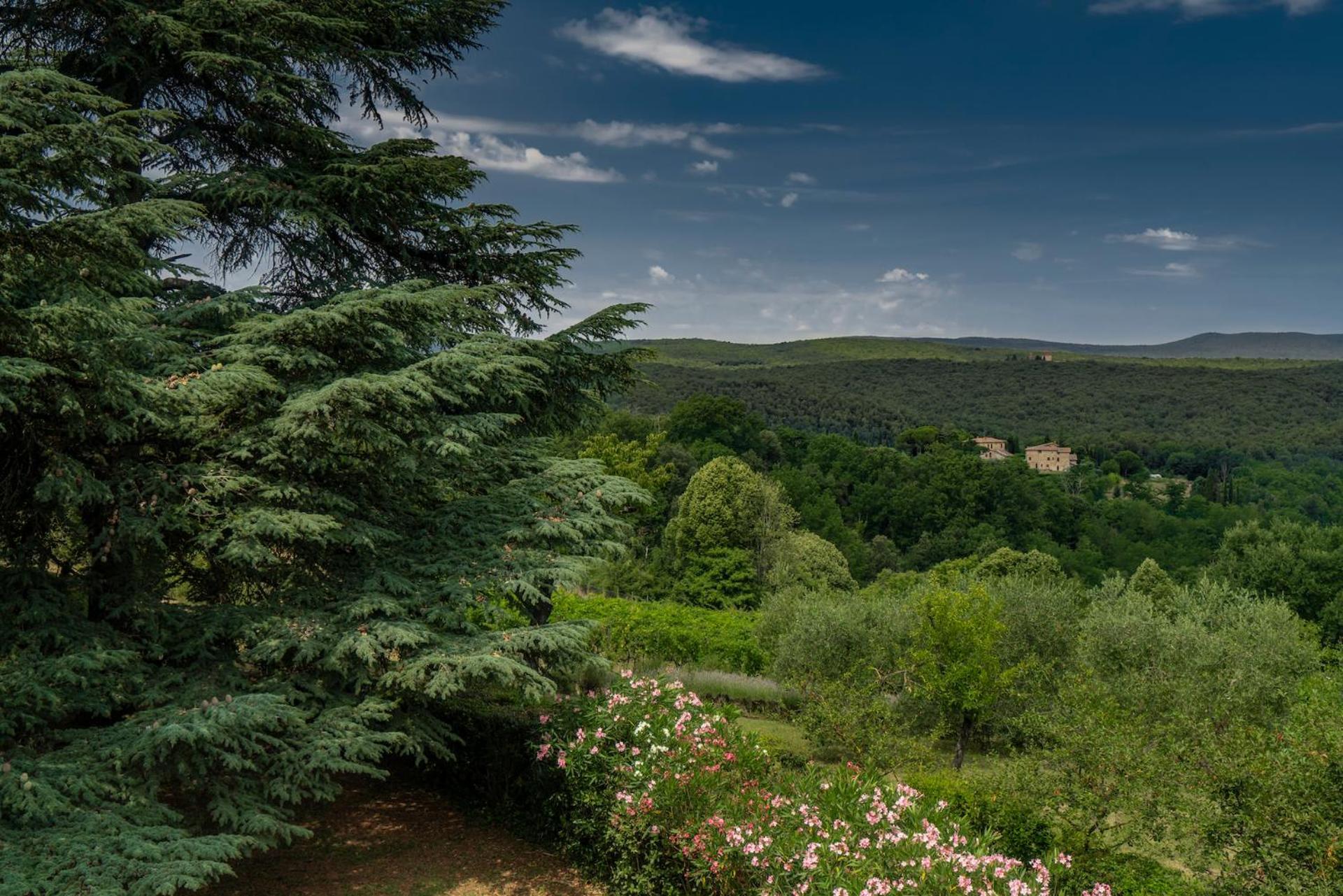 Borgo Villa Certano - Case Vacanza In Toscana Siena Exteriér fotografie